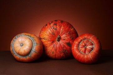 Studio shot of pumpkins