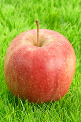 Roter Apfel