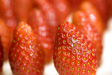 Erdbeeren