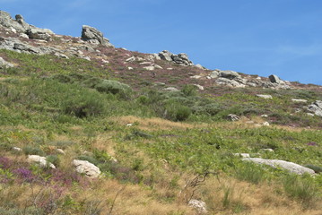 Fototapeta na wymiar Massif du Caroux Espinouse