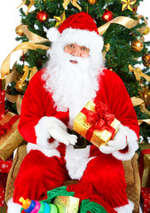 Happy Christmas Santa