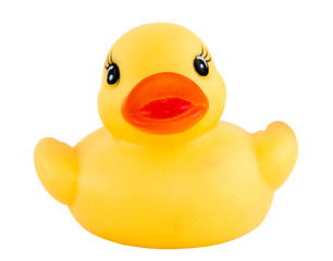 duck new 3