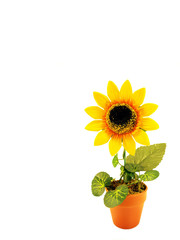 artificial sunflower in the pot