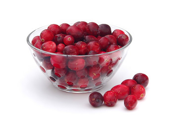 Cranberry 01