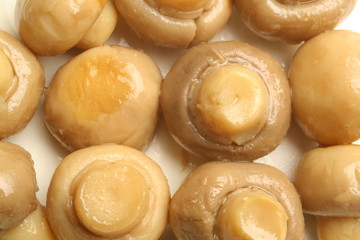 champignons de paris