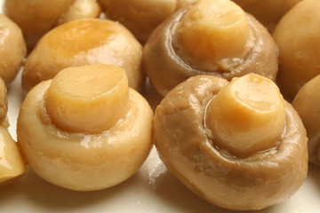 champignons de paris