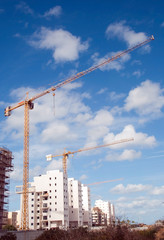 Fototapeta premium crane