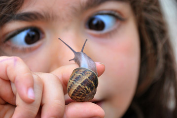 Un escargot !!!!
