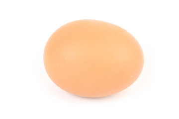 chicken egg
