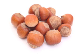 hazelnuts