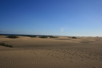 Dünen von Maspalomas
