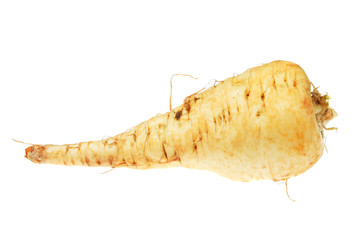 Parsnip