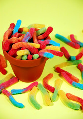 Colorful gummy worms