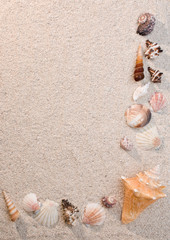 Frame of sea shells on sand