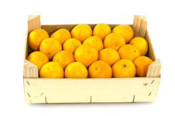 container filled with mandarins