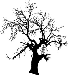 tree vector silhouettes