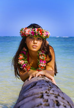 beautiful young polynesian girl in hawaii on a palm tree