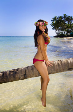 beautiful young polynesian girl in hawaii on a palm tree