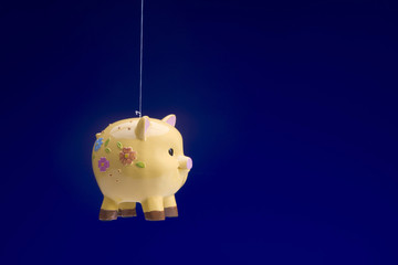 Piggy Bank Flying