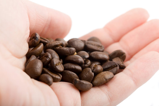 hand holding coffee beans isolated
