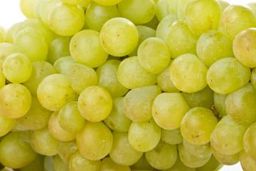 Fresh grapes