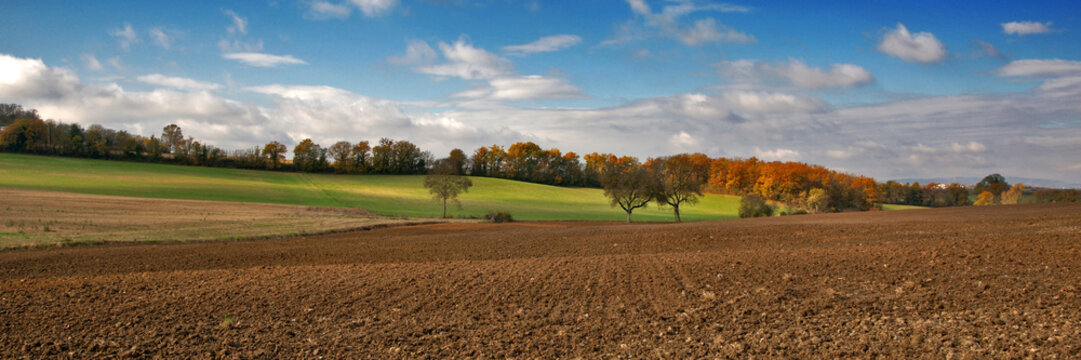 panorama et champs
