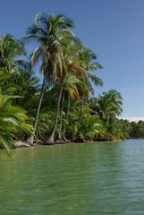 Obraz premium isla colon