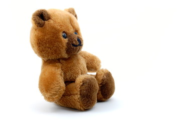 teddy bear isolated on white background