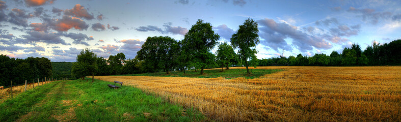 Fototapeta premium Rural field
