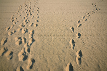 Fototapeta na wymiar Ludzkie ślady na powierzchni piasku