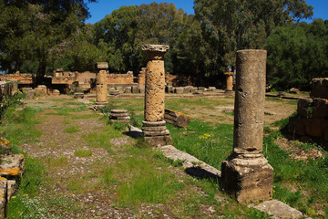 Columns in Tipasa, Algeria