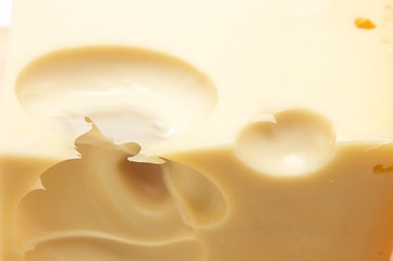 Maasdam cheese texture
