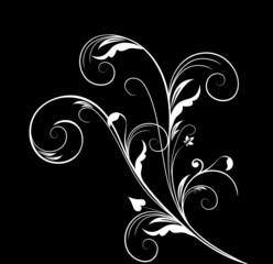 black and white floral pattern