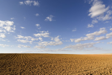 brown soil field