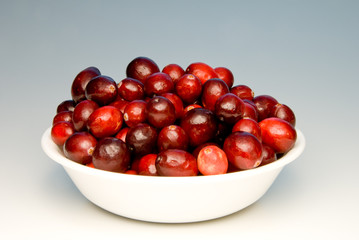 Cranberries in a Bowl
