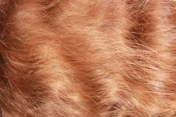 Photo sur Plexiglas Salon de coiffure Red hair textured