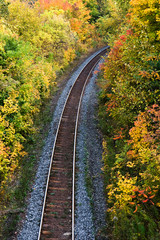 Obraz premium run through autumn
