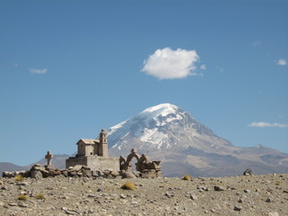 sajama