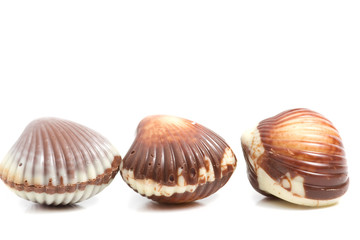 Chocolate pralines against white