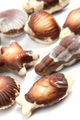 Chocolate pralines against white