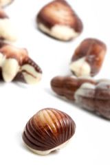 Chocolate pralines against white