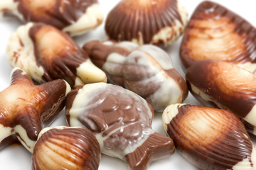 Chocolate pralines against white