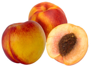 Fruit a peach and apricot hybrid