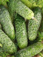cucumbers