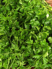 parsley