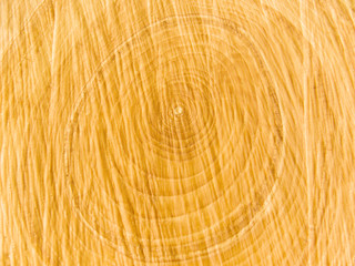 Internal tree structure