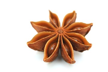 Sternanis © Christian Jung
