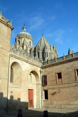 Fototapeta na wymiar catedral de Salamanca