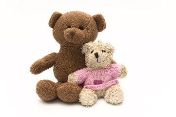 Two cute teddy bears