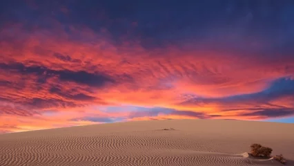 Zelfklevend Fotobehang dune et crépuscule © joël BEHR